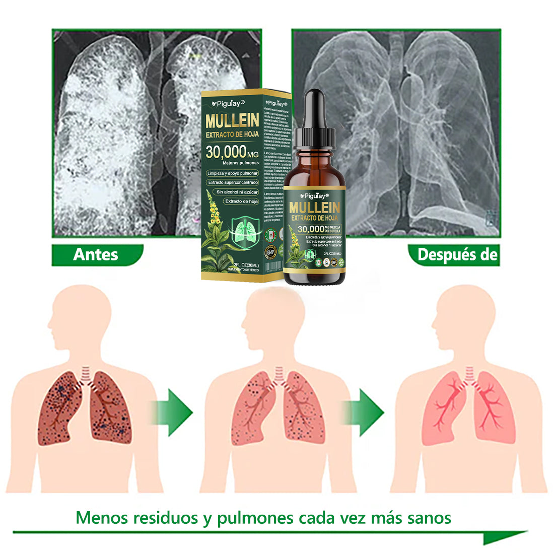 𝗧𝗶𝗲𝗻𝗱𝗮 𝗢𝗳𝗶𝗰𝗶𝗮𝗹: 𝗣𝗶𝗴𝘂𝗶𝗮𝘆® 𝗘𝘅𝘁𝗿𝗮𝗰𝘁𝗼 𝗢𝗿𝗴á𝗻𝗶𝗰𝗼 𝗱𝗲 𝗛𝗼𝗷𝗮 𝗱𝗲 𝗚𝗼𝗿𝗱𝗼𝗹𝗼𝗯𝗼 𝗽𝗮𝗿𝗮 𝗟𝗶𝗺𝗽𝗶𝗲𝘇𝗮 𝗣𝘂𝗹𝗺𝗼𝗻𝗮𝗿 |🎁 𝐅ó𝐫𝐦𝐮𝐥𝐚 𝐜𝐥í𝐧𝐢𝐜𝐚𝐦𝐞𝐧𝐭𝐞 𝐩𝐫𝐨𝐛𝐚𝐝𝐚 𝐲 𝐚𝐥𝐭𝐚𝐦𝐞𝐧𝐭𝐞 𝐜𝐨𝐧𝐜𝐞𝐧𝐭𝐫𝐚𝐝𝐚 𝐪𝐮𝐞 𝐚𝐲𝐮𝐝𝐚 𝐚 𝐚𝐥𝐢𝐯𝐢𝐚𝐫 𝐥𝐚 𝐭𝐨𝐬, 𝐥𝐚 𝐟𝐥𝐞𝐦𝐚, 𝐞𝐥 𝐚𝐬𝐦𝐚 𝐲 𝐥𝐚 𝐂𝐎𝐏𝐃 — 𝐫𝐞𝐬𝐩𝐢𝐫𝐚 𝐦𝐞𝐣𝐨𝐫, 𝐦á𝐬 𝐫á𝐩𝐢𝐝𝐨. 🎁