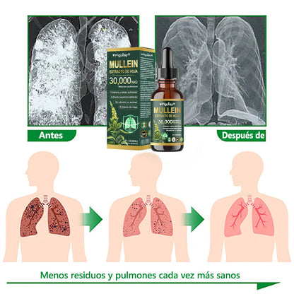 𝗧𝗶𝗲𝗻𝗱𝗮 𝗢𝗳𝗶𝗰𝗶𝗮𝗹: 𝗣𝗶𝗴𝘂𝗶𝗮𝘆® 𝗘𝘅𝘁𝗿𝗮𝗰𝘁𝗼 𝗢𝗿𝗴á𝗻𝗶𝗰𝗼 𝗱𝗲 𝗛𝗼𝗷𝗮 𝗱𝗲 𝗚𝗼𝗿𝗱𝗼𝗹𝗼𝗯𝗼 𝗽𝗮𝗿𝗮 𝗟𝗶𝗺𝗽𝗶𝗲𝘇𝗮 𝗣𝘂𝗹𝗺𝗼𝗻𝗮𝗿 |🎁 𝐅ó𝐫𝐦𝐮𝐥𝐚 𝐜𝐥í𝐧𝐢𝐜𝐚𝐦𝐞𝐧𝐭𝐞 𝐩𝐫𝐨𝐛𝐚𝐝𝐚 𝐲 𝐚𝐥𝐭𝐚𝐦𝐞𝐧𝐭𝐞 𝐜𝐨𝐧𝐜𝐞𝐧𝐭𝐫𝐚𝐝𝐚 𝐪𝐮𝐞 𝐚𝐲𝐮𝐝𝐚 𝐚 𝐚𝐥𝐢𝐯𝐢𝐚𝐫 𝐥𝐚 𝐭𝐨𝐬, 𝐥𝐚 𝐟𝐥𝐞𝐦𝐚, 𝐞𝐥 𝐚𝐬𝐦𝐚 𝐲 𝐥𝐚 𝐂𝐎𝐏𝐃 — 𝐫𝐞𝐬𝐩𝐢𝐫𝐚 𝐦𝐞𝐣𝐨𝐫, 𝐦á𝐬 𝐫á𝐩𝐢𝐝𝐨. 🎁