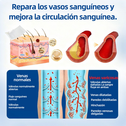 🇲🇽👨‍⚕️👍✅Healrize® Parche Microneedle VeinTarget🎖️Alivio Instantáneo, Resultados a Largo Plazo 🎖️